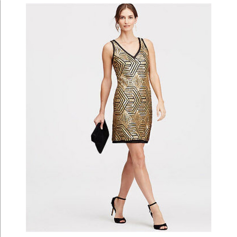 Ann Taylor Sequin Dreds
